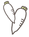春大根